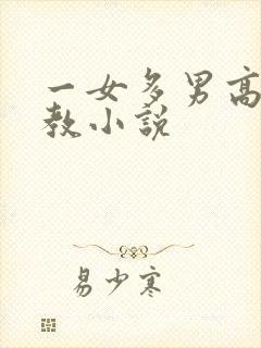 一女多男高h调教小说