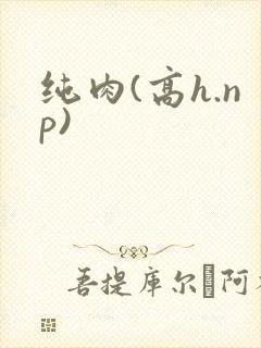 纯肉(高h.np)
