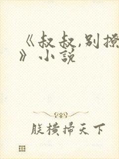 《叔叔,别撩我》小说