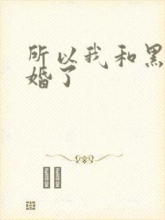 所以我和黑粉结婚了