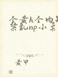 全黄h全肉短篇禁乱np小柔