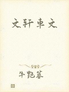 文轩车文