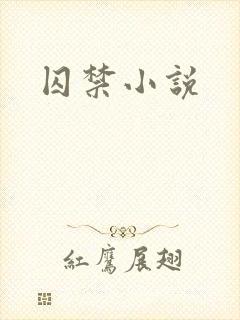 囚禁小说