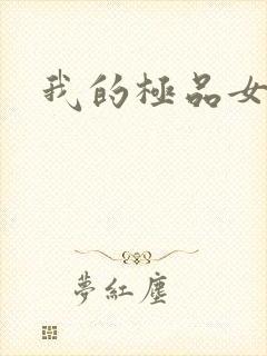 我的极品女老师封面