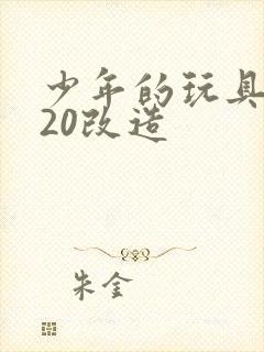 少年的玩具1一20改造