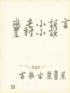 恋老小说言情网农村小说