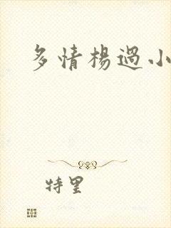 多情杨过小说封面