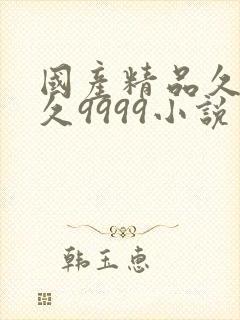 国产精品久久久久9999小说