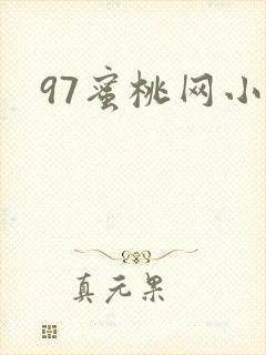 97蜜桃网小说