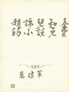 赵锦儿和秦慕修的小说免费阅读全文封面