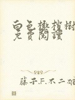 白色橄榄树全文免费阅读