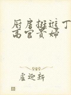 厨房挺进丁字裤高官贵妇