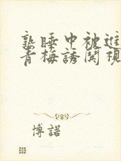 熟睡中被进了H青梅诱哄视频