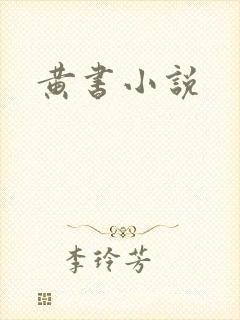 黄书小说