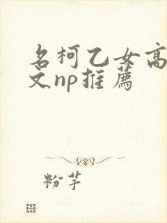 名柯乙女高辣h文np推荐