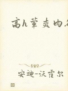 高h荤爽肉欲文