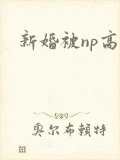 新婚被np高h