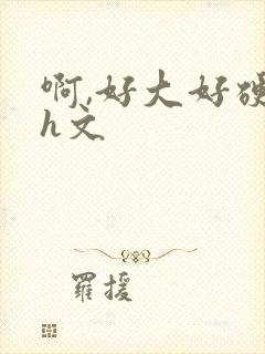 啊,好大好硬啊h文