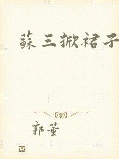 苏三掀裙子封面