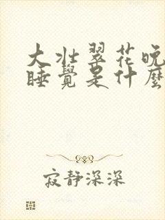 大壮翠花晚上不睡觉是什么电视剧