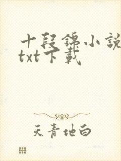 十段锦小说全本txt下载