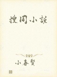 搜同小说封面