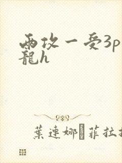 两攻一受3p双龙h