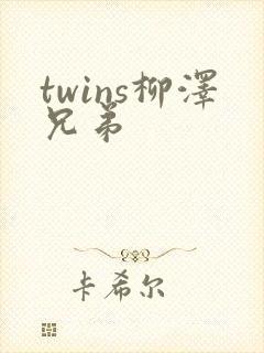 twins柳泽兄弟封面