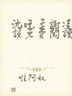 沈晚柔谢凌安小说免费阅读最新章节