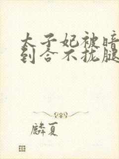 太子妃被暗卫C到合不拢腿封面