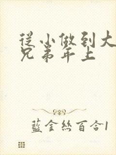 从小做到大骨科兄弟年上封面