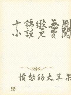 十锦缎无删原著小说免费阅读