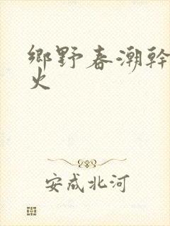乡野春潮干柴烈火封面