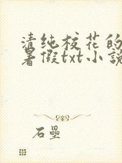 清纯校花的农村暑假txt小说免费阅读