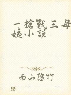 一枪战三母2雪姨小说