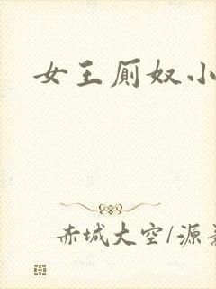 女王厕奴小说封面