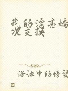 我的漂亮娇妻初次交换