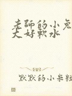老师的小兔子好大好软水