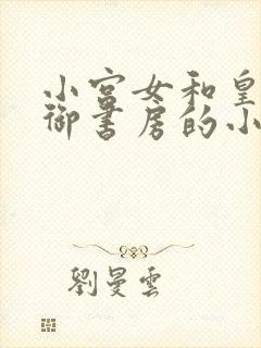 小宫女和皇上在御书房的小说叫什么