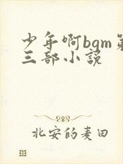 少年啊bgm第三部小说