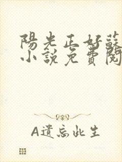 阳光正好苏玥玥小说免费阅读