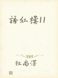 诱红楼11