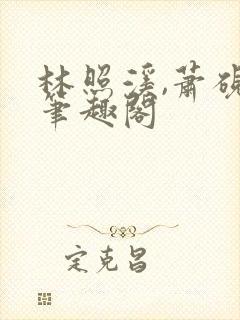 林照溪,萧砚川笔趣阁