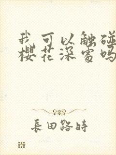 我可以触碰你的樱花深处吗