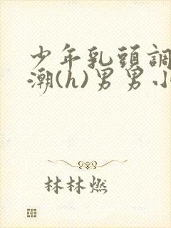 少年乳头调教高潮(h)男男小说