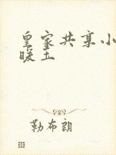 皇家共享小公主暖玉封面