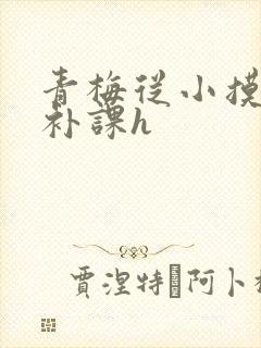 青梅从小摸到大补课h封面