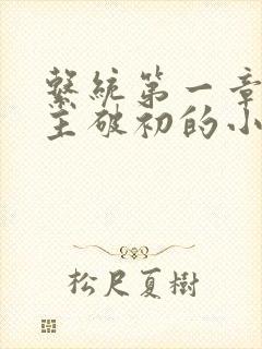 系统第一章给宿主破初的小说