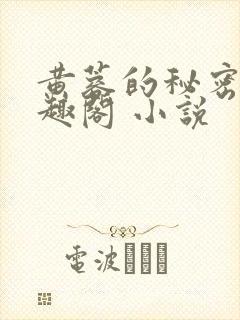 黄蓉的秘密 笔趣阁 小说