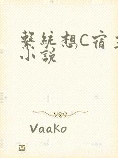 系统想C宿主的小说